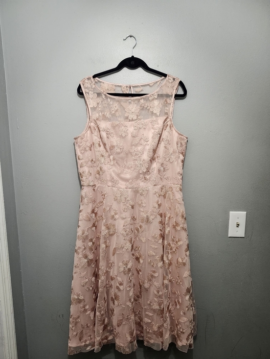 Jessica Howard Dresses & Skirts - Jessica Howard Blush Pink Floral Lace Midi Dress Size 16